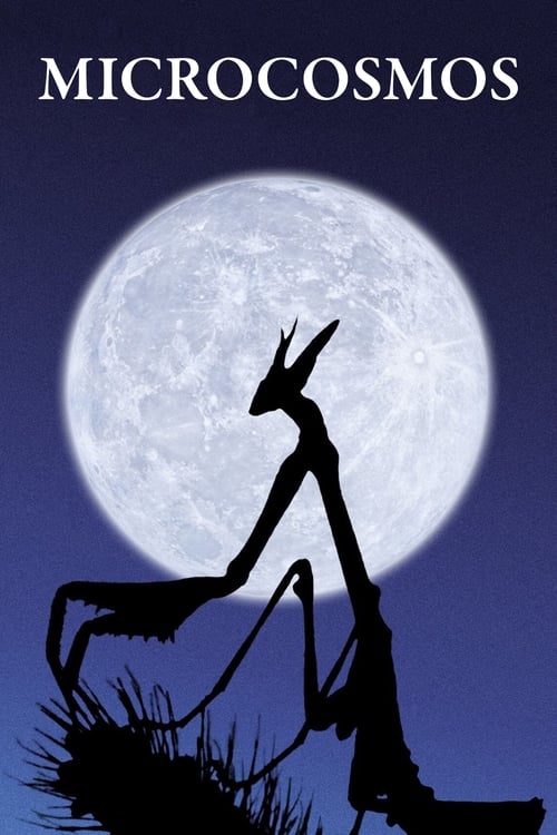 The poster features a silhouette of a person in a chair against a large, luminous full moon, evoking a mysterious and dreamlike atmosphere. The deep blue background enhances the ethereal mood, suggesting a journey into the unknown or a surreal exploration of reality.
