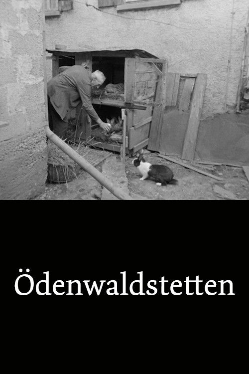 A somber black-and-white scene captures a man working in a dilapidated building, surrounded by debris and scattered tools. The muted tones evoke a sense of hardship and resilience. The title "Ödenwaldstetten" anchors the image, suggesting a story of struggle and survival in a harsh environment.