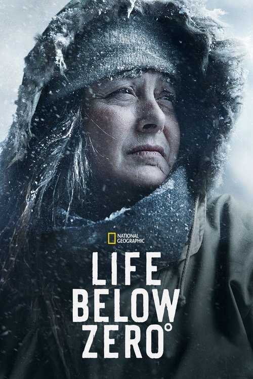 The poster features a woman in a heavy, snow-covered hood, evoking a cold, wintry atmosphere. The muted tones of gray and white convey the harsh, desolate environment. The title "Life Below Zero" is prominently displayed, suggesting a survival story in a frozen world.