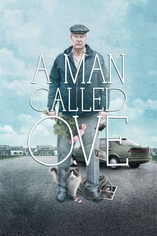 The poster features a man in a cap and coat standing on a gravel path, with a small dog beside him. The muted blue sky and earthy tones evoke a somber, reflective mood. The title "A MAN CALLED OVE" is prominently displayed in large, white letters, emphasizing the film's poignant narrative about h...