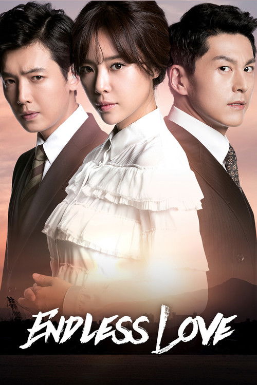 The poster features three men in formal attire against a warm, golden background, evoking romance and drama. The central figure wears a white blouse, while the others are in suits, creating a striking contrast. The title "Endless Love" is prominently displayed at the bottom in bold, white letteri...