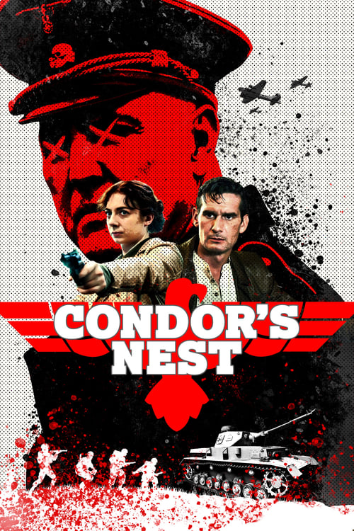 Condor's Nest poster