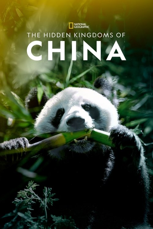 The poster features a panda peacefully eating bamboo, surrounded by lush greenery. The warm yellow and green tones evoke a serene, natural mood. The title "The Hidden Kingdoms of China" is prominently displayed in bold white letters.