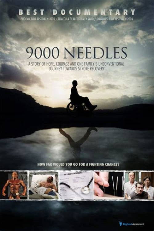 The poster features a silhouette of a person sitting on a rock against a dramatic sky, with their reflection mirrored in calm water below. The muted earthy tones and dark silhouette evoke a somber, reflective mood. The title "9000 Needles" is prominently displayed in bold, white lettering.
