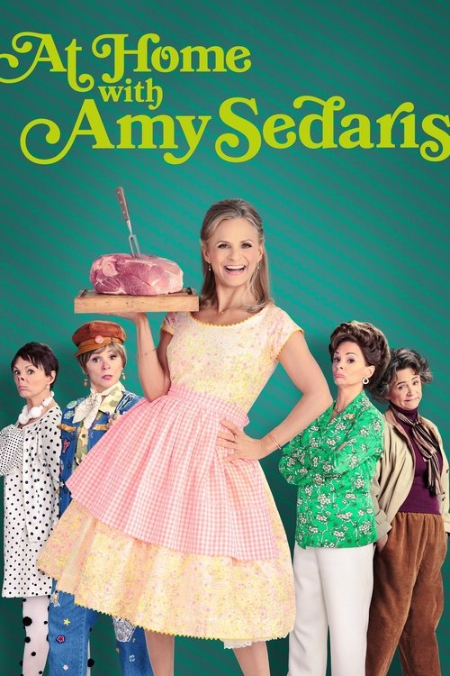 This vibrant TV show poster features Amy Sedaris in a cheerful pink dress holding a cake, surrounded by six other cast members in colorful outfits against a teal background. The lively atmosphere and bright colors create a fun, engaging mood that captures the essence of the show.