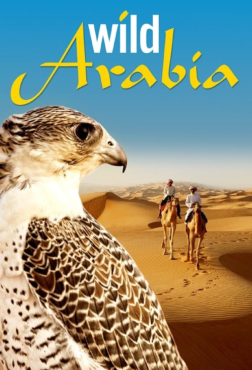 The poster features a majestic falcon in the foreground with its speckled feathers, set against a vast desert landscape. In the background, two riders on camels traverse the golden sands under a clear blue sky. The warm tones of the desert contrast beautifully with the vibrant yellow title text, ...
