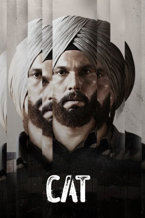The poster features two men with turbans and beards, their faces partially obscured by vertical stripes. The muted tones and shadowy atmosphere create a somber mood, suggesting themes of conflict or struggle.