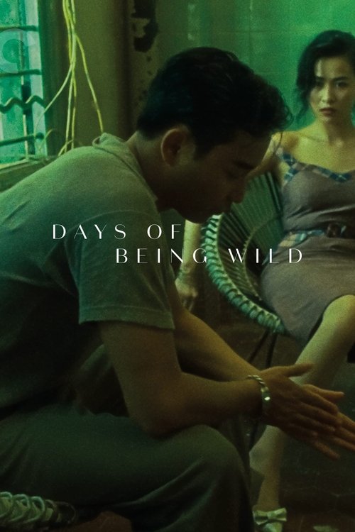 The poster features a man in a green shirt kneeling in a dimly lit room, while a woman in a purple dress sits nearby. The mood is mysterious and intimate, with muted colors and a sense of quiet tension.