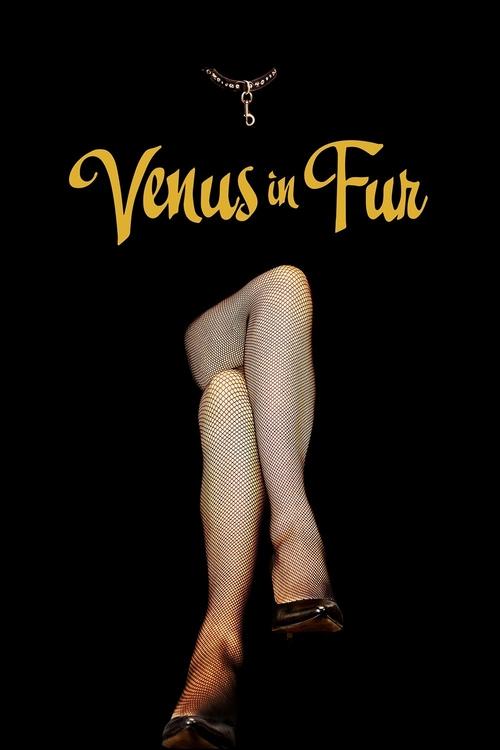 A woman in black tights and heels stands against a black background, her legs crossed elegantly. The title "Venus in Fur" glows in gold, suggesting a luxurious and mysterious atmosphere. The image evokes a sense of mystery and allure.