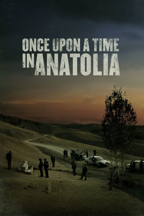 The poster features silhouetted figures against a dramatic sunset, evoking a sense of mystery and adventure. The muted earth tones and dark sky create an atmospheric mood, while the title "Once Upon a Time in Anatolia" stands out in bold white letters.