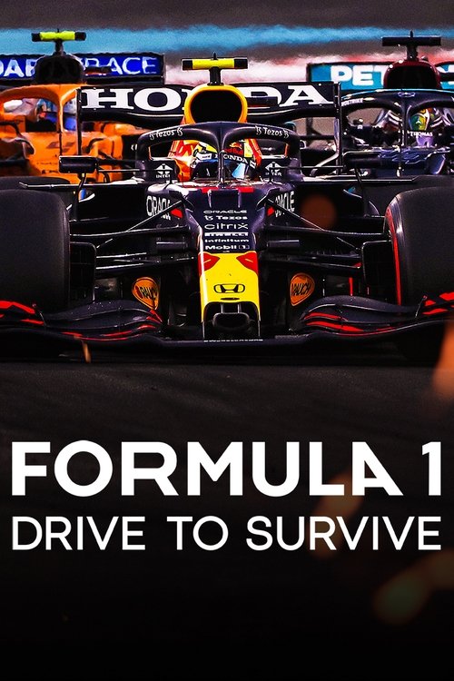 A Formula 1 car dominates the frame at night, with its sleek black and yellow livery glowing under the stadium lights. The bold text "FORMULA 1" and "DRIVE TO SURVIVE" sets a dramatic tone, while the blurred background hints at a high-stakes race atmosphere.