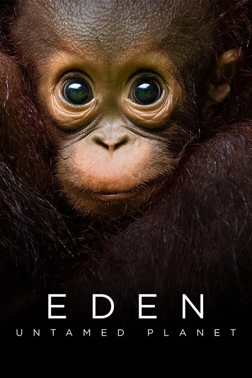 The poster features a close-up of a small, curious monkey with large, expressive eyes, set against a dark, moody background. The title "EDEN" is prominently displayed in bold white letters, while "UNTAMED PLANET" appears below in smaller text. The overall mood is mysterious and intriguing, hintin...