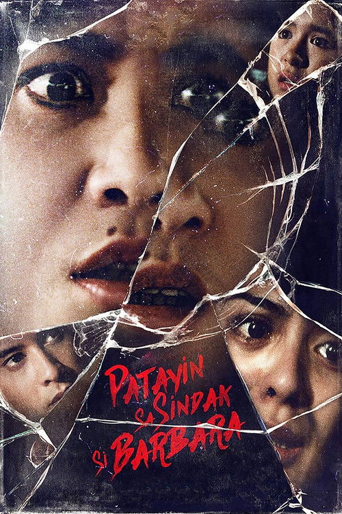 The poster features a woman's face shattered into multiple sections, revealing fragmented expressions and eyes. The colors are dark with red text that reads "PATERNITY OF SINNYA & BARBARA." The mood is intense and mysterious, suggesting a thriller or horror genre.