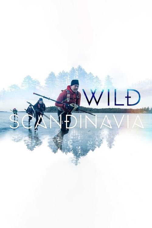 The poster features a serene winter scene with a person in a red jacket standing on a boat, surrounded by snow-covered trees and calm water. The title "WILD Scandinavia" is prominently displayed in bold, blue letters. The overall mood is peaceful and adventurous, capturing the essence of a journe...