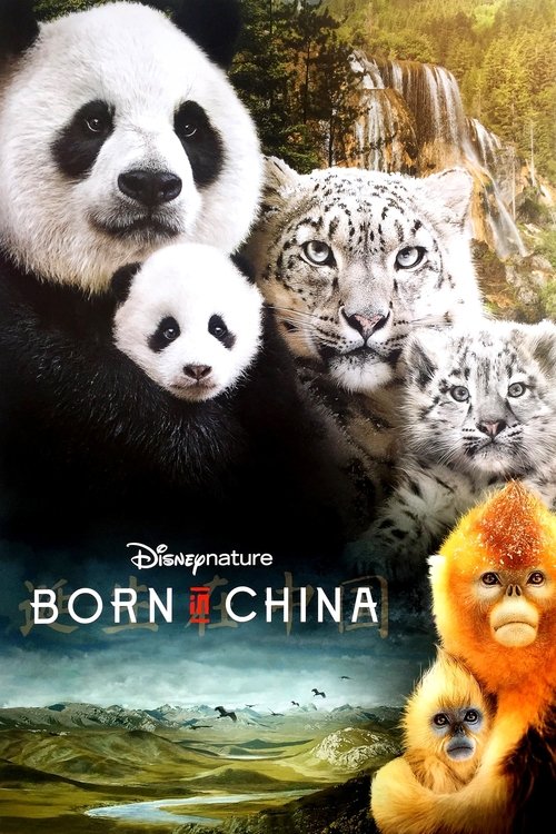 The poster features a majestic panda and snow leopard against a lush green backdrop, evoking a sense of natural beauty and adventure. The vibrant colors of the animals contrast beautifully with the serene landscape below, creating an enchanting mood that captures the wonder of China's wildlife.