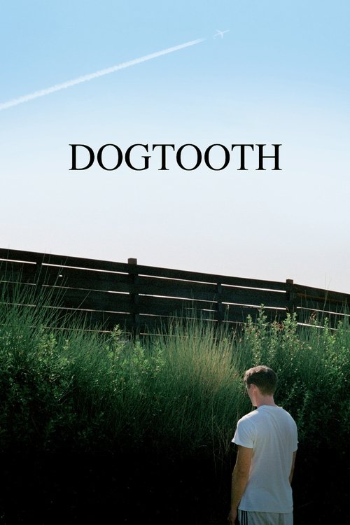 The poster features a lone man in a white shirt standing amidst tall grass under a clear blue sky, evoking a sense of solitude and introspection. The minimalist design, with its simple black text and natural landscape, suggests a story about personal growth and the search for meaning.