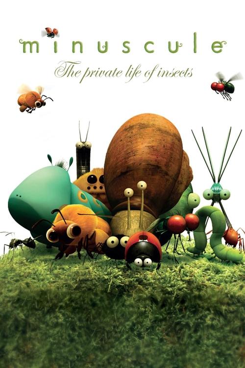 The poster features a whimsical scene with insects like a ladybug, ant, and cricket scattered across a green grassy field. The playful and vibrant colors evoke a sense of fun and wonder, capturing the lively and curious lives of these tiny creatures.