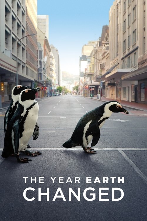 The poster features two penguins standing on a city street, with one looking up at the other. The warm, golden sunlight bathes the scene in a nostalgic, hopeful mood. The urban backdrop contrasts with the natural elements, suggesting a blend of human and animal worlds.