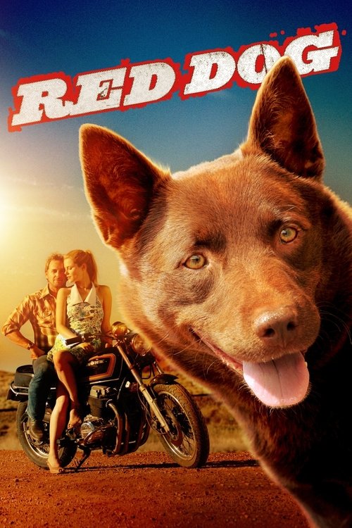The poster features a large, expressive red dog in the foreground with its tongue out, set against a warm sunset backdrop. In the background, a couple rides a motorcycle, exuding a sense of adventure and romance. The title "RED DOG" is prominently displayed in bold, red letters, emphasizing the f...