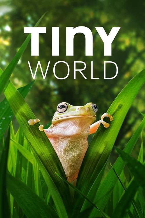 The poster features a vibrant green frog nestled among lush leaves, exuding a serene and natural mood. Bold white text reads "TINY WORLD" against the backdrop of nature, suggesting an educational or documentary series exploring the small world around us.