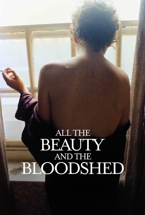 The poster features a woman with short hair, seen from behind, gazing out of a window. The warm, soft lighting creates a dreamy atmosphere, while the bold, white text of the title "All the Beauty and the Bloodshed" stands out against the darker tones.