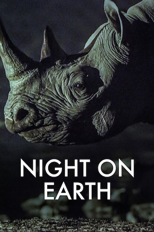 The poster features a close-up of a rhinoceros's head, its wrinkled skin and horns in dark tones against a shadowy background. The title "NIGHT ON EARTH" is prominently displayed in bold white letters. The overall mood is mysterious and dramatic, evoking a sense of wild nature and quiet intensity.
