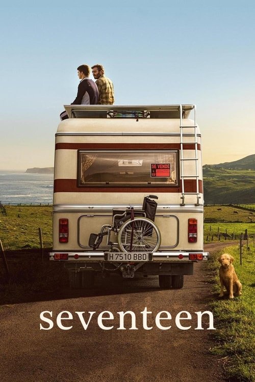 A couple sits atop a vintage camper van, overlooking a serene countryside landscape. The warm sunlight bathes the scene in golden hues, evoking a sense of peace and adventure. The film captures the essence of summer escapades, blending nostalgia with the timeless allure of travel.