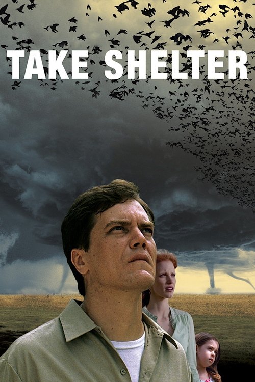 The poster features a man in a light green shirt against a dramatic sky filled with dark clouds and flying birds. In the background, another man looks up at the stormy sky, while a third figure is partially visible. The overall mood is tense and dramatic, suggesting a serious and possibly suspens...