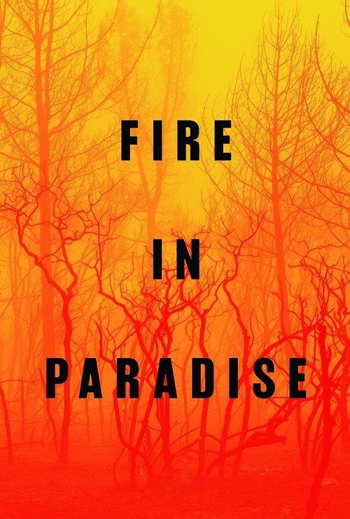 The poster features silhouetted, bare trees against a fiery orange and yellow gradient background, evoking a sense of danger and mystery. The bold, black text "FIRE IN PARADISE" stands out prominently, suggesting a thrilling or suspenseful narrative.