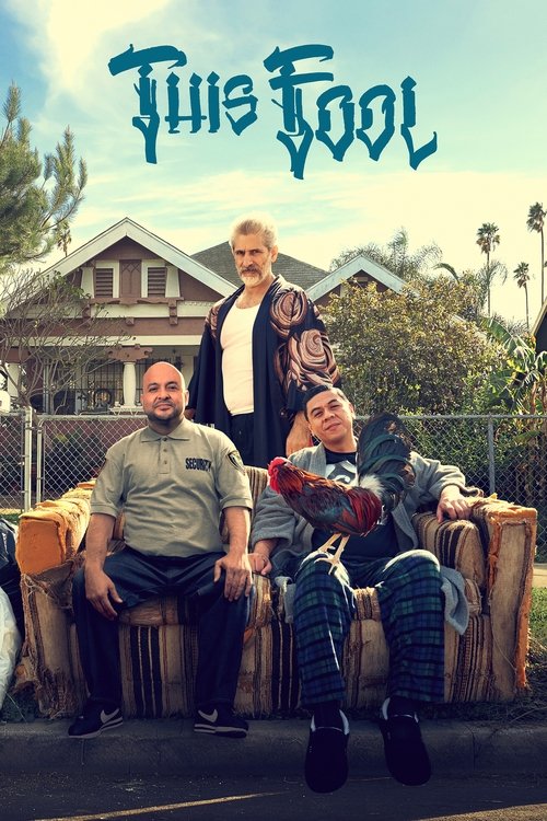 The poster features three men posing casually on a rustic wooden bench in a sunny suburban setting. The title "This Fool" is prominently displayed in a playful, blue font against a clear sky. The warm tones of the wooden bench and the bright sunlight create a relaxed, approachable mood, suggestin...