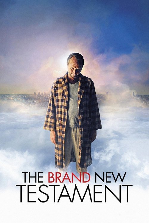 The poster features a man in a plaid coat standing amidst a stormy, misty landscape. The dramatic sky with swirling clouds and hues of blue and orange sets a somber, mysterious tone. The title "The Brand New Testament" is prominently displayed at the bottom, emphasizing the film's intense and dra...