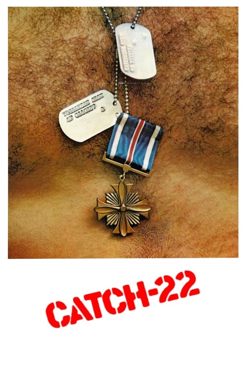 The poster features a man in a military uniform with a medal, surrounded by other medals and a dog tag. The warm, earthy tones and the red "CATCH-22" text create a gritty, intense atmosphere.