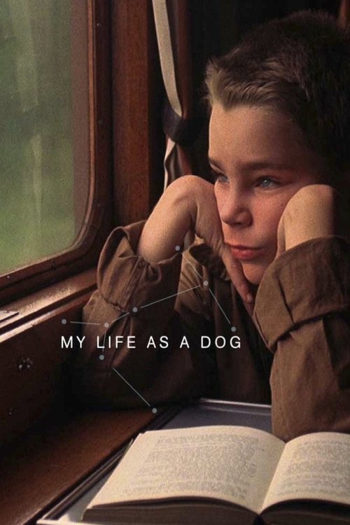 The poster features a young girl with dark hair resting her chin on her hand, gazing thoughtfully at an open book. The warm brown tones of her clothing and the soft lighting create a cozy, intimate atmosphere. The title "My Life as a Dog" is subtly placed in the center, hinting at the film's them...