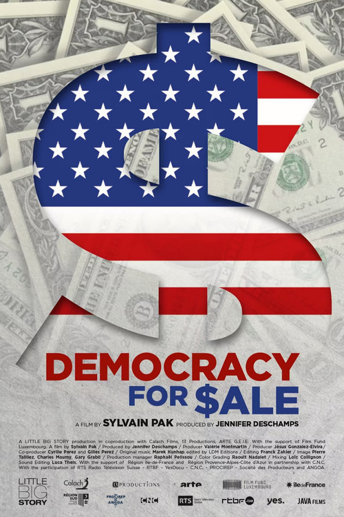 The poster features a stylized American flag with the letter "C" forming the background, symbolizing the Democratic Party. The flag's red, white, and blue colors are vibrant against a backdrop of scattered dollar bills, evoking themes of finance and economy. The bold text "Democracy for $ale" in ...