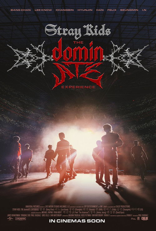 The poster features silhouettes of Stray Kids members walking toward a bright, glowing doorway, evoking mystery and anticipation. Dominant red and black color scheme creates a dramatic atmosphere, while the spiderweb design adds an edgy, rebellious vibe.