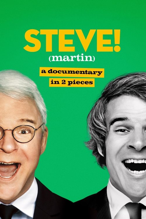 The poster features two smiling men in suits against a vibrant green background, creating a cheerful and inviting atmosphere. The bold yellow text announces the show's title, while the smaller text hints at its documentary format and two-part structure.