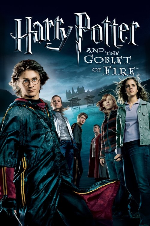 The poster features a group of young wizards in colorful robes against a mystical, twilight sky. Harry Potter stands prominently in the foreground, exuding confidence and determination. The other characters—Ron, Hermione, and Lily—are positioned behind him, adding depth to the scene. The overall ...