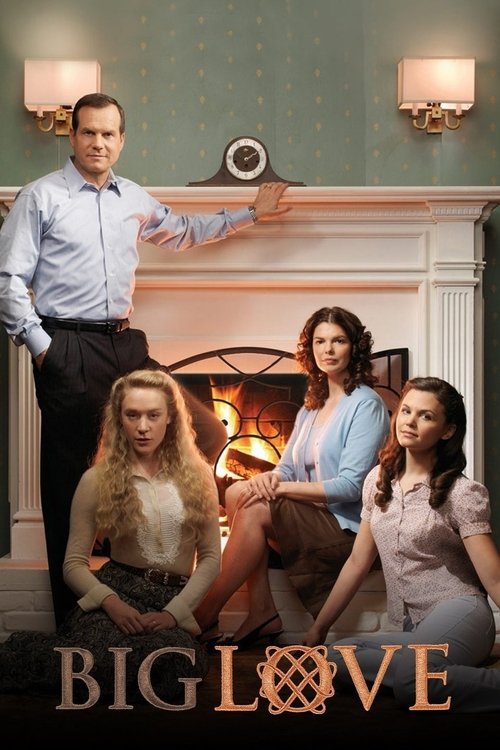 The poster features a warm, inviting scene with five characters gathered around a fireplace, exuding a cozy and romantic atmosphere. The soft lighting and earthy tones create a sense of intimacy and connection, while the title "Big Love" anchors the composition with a touch of elegance.