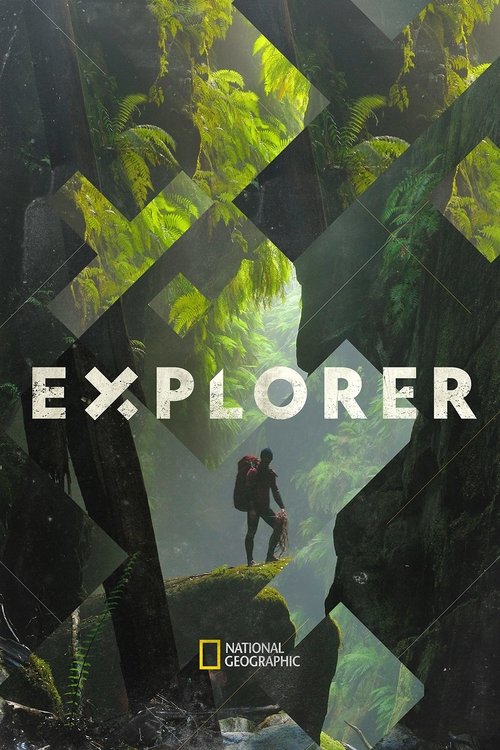 The poster features a lone explorer standing on a rocky outcrop amidst lush, vibrant green jungle foliage. The scene exudes a sense of adventure and discovery, with the bright, natural colors contrasting against the dark, rugged terrain. The title "EXPLORER" is prominently displayed in bold, whit...