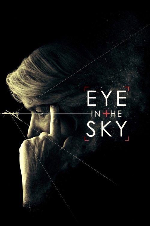 The poster features a dramatic close-up of a woman with her hand resting near her face, her gaze intense and piercing. The dark, moody background enhances the mysterious and suspenseful mood. The title "Eye in the Sky" is prominently displayed in bold, white letters, adding to the film's atmosphe...
