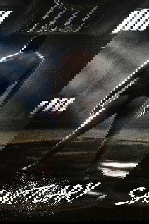 The poster features a muscular man in black wrestling trunks, standing with his back to the viewer in a dimly lit, gritty arena. The dark, moody lighting and shadowy background create an intense, mysterious atmosphere. The title "SANCTUARY" is prominently displayed in bold, distressed white lette...