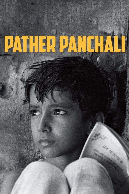 The poster features a young boy with dark hair and intense eyes, set against a textured, gray background. The title "PATHER PANCHALI" is prominently displayed in bold, yellow letters at the top. The overall mood is somber and evocative, capturing the essence of the film's themes.