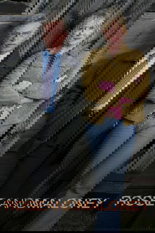 The poster features two characters standing against a weathered wooden backdrop. The man in a suit and tie exudes authority, while the woman in a mustard jacket and pink shirt appears confident and slightly mysterious. The warm tones of their clothing contrast with the muted, earthy background, c...