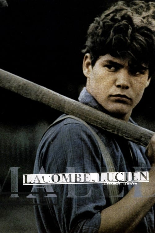 The poster features a young man with dark, tousled hair holding a baseball bat, exuding a rugged, determined mood. The muted tones and shadowy background emphasize the gritty atmosphere of the film.