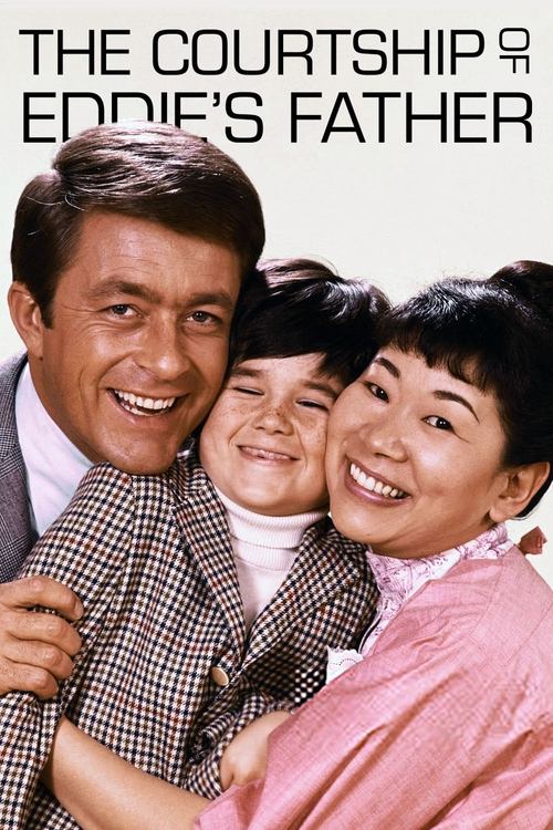 The poster features a warm, joyful family portrait with a smiling man, a young boy, and a woman, all radiating happiness. The soft pink background and playful expressions create a cheerful, nostalgic atmosphere, capturing the essence of a classic sitcom.