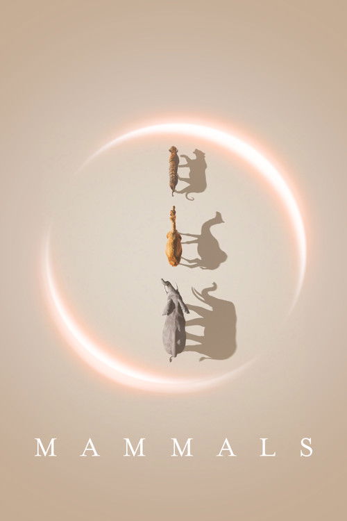 The poster features silhouettes of four animals—lion, bear, cat, and dog—arranged vertically against a soft, warm-toned background. A glowing crescent moon or ring surrounds them, casting gentle shadows that evoke a serene, contemplative mood. The title "Mammals" appears at the bottom in simple, ...