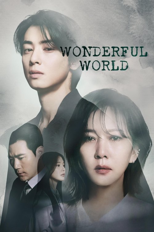 The poster features four characters with somber, melancholic expressions against a muted, gray-toned background. The title "Wonderful World" is prominently displayed in bold, dark letters. The overall mood is one of introspection and emotional depth.