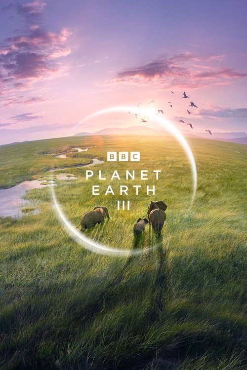 The poster features a serene landscape with three elephants walking through a lush green field under a vibrant sunset sky. A glowing ring encircles the scene, symbolizing the planet's beauty. The warm colors of pink, orange, and purple create a peaceful and awe-inspiring mood.