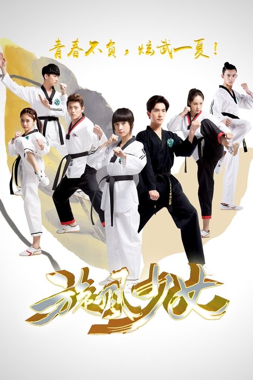 The Whirlwind Girl poster features a dynamic group of martial artists in white and black uniforms, exuding energy and determination. The vibrant colors of their uniforms contrast with the soft, golden background, creating a visually striking composition. The mood is one of youthful passion and co...