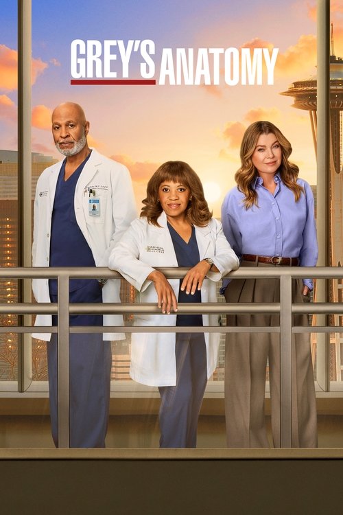 The poster features three characters standing on a balcony overlooking a city skyline at sunset. The warm orange and pink hues create a serene yet professional atmosphere, complementing the clinical yet human tone of the show.